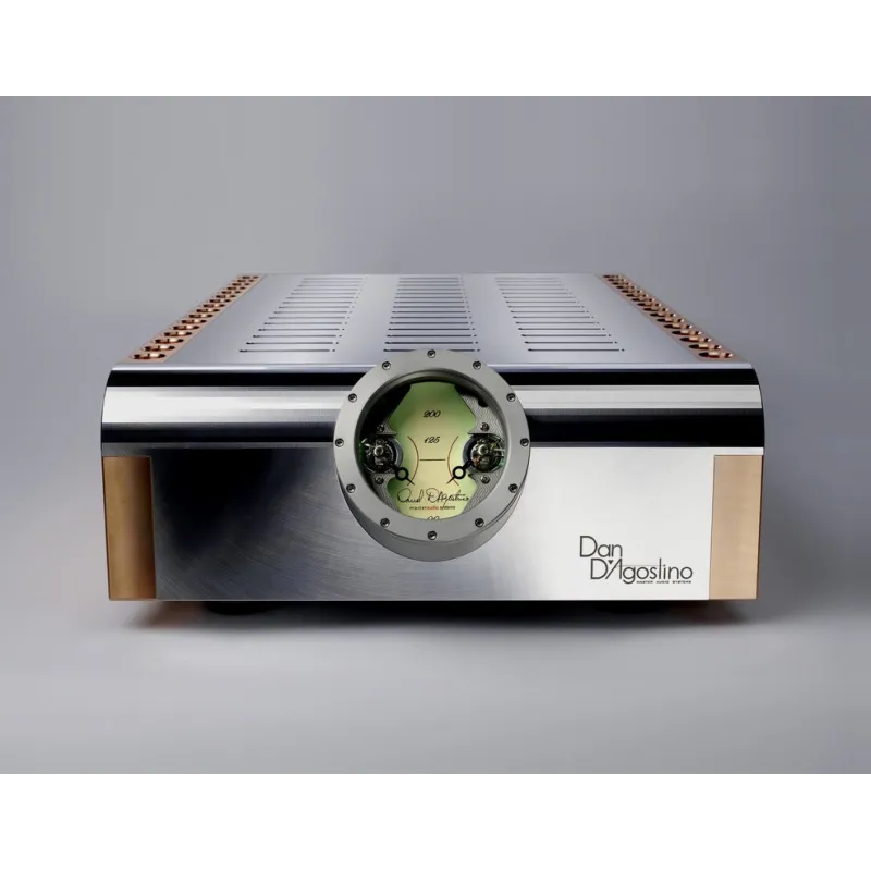 D'Agostino Momentum Monoblock Power Amplifier